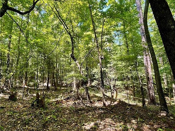 5th image of 3961 Panola Rd