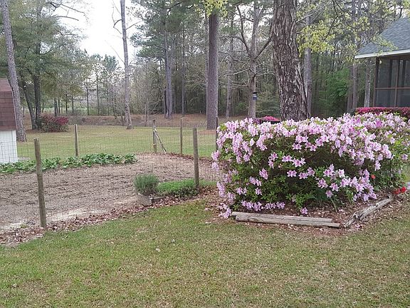 Image 5: Beautiful Flowers on the Property