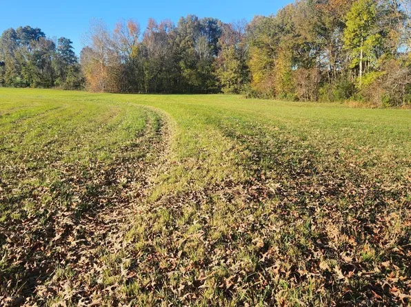 Highway 22, Dresden, TN 38225