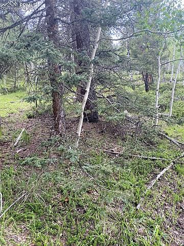 1st image of 394 Spruce Lake Dr
