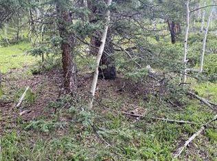 394 Spruce Lake Dr, Divide, CO 80814