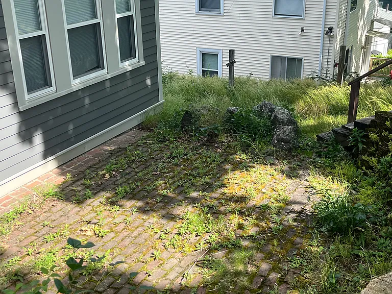 14 Sylvia St #1 — Photo 16
