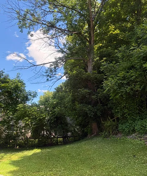 276 Old Route 22 #C — Photo 38