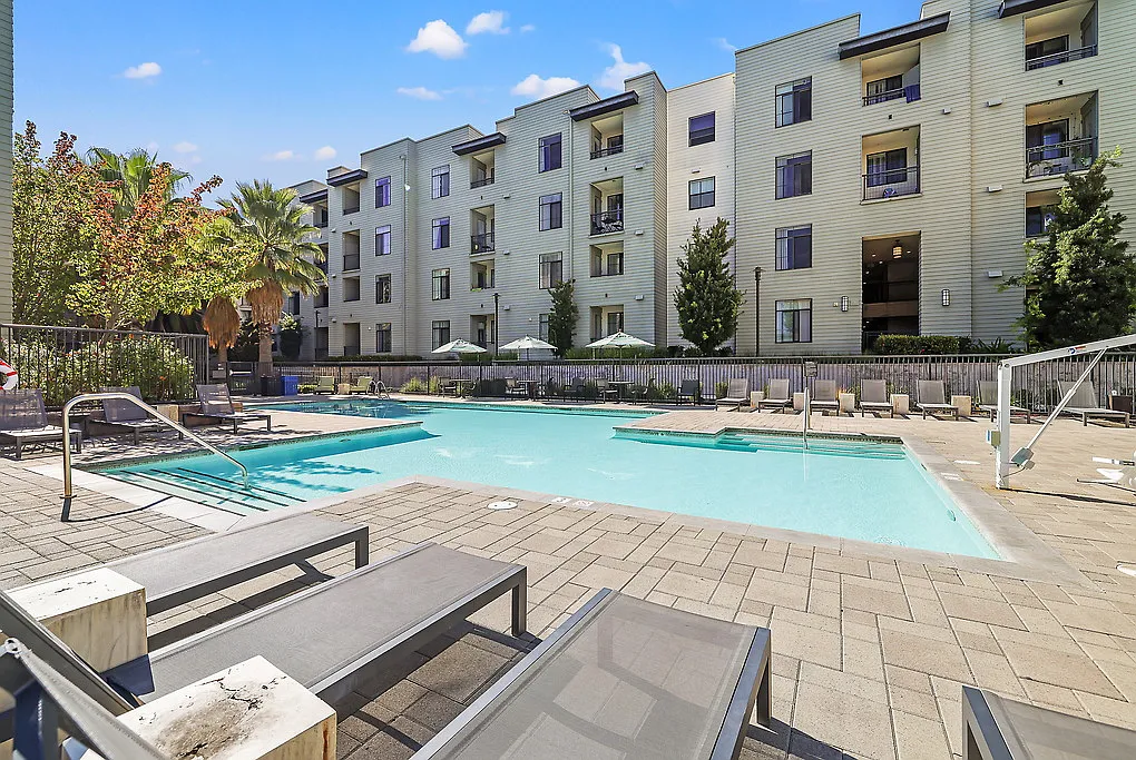 Brio — Photo 2