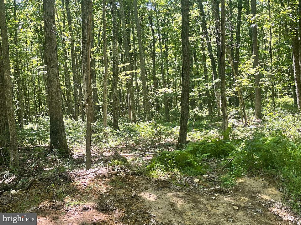 1st image of Upper Abrams Creek Rd