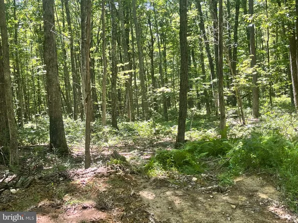 Upper Abrams Creek Rd, Elk Garden, WV 26717