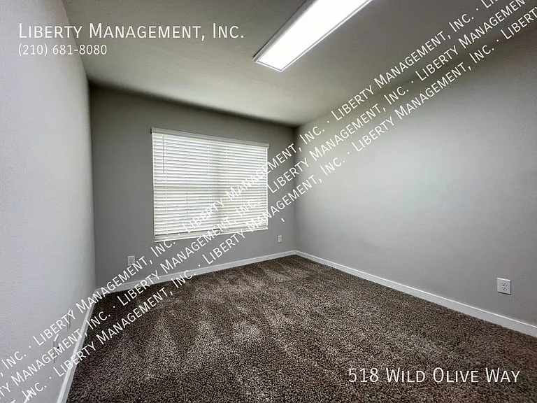 518 Wild Olive Way — Photo 22
