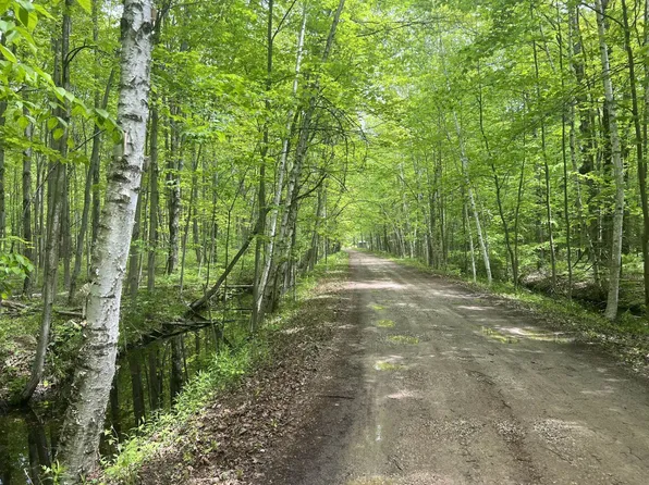 N Water Rd, Sanford, MI 48657