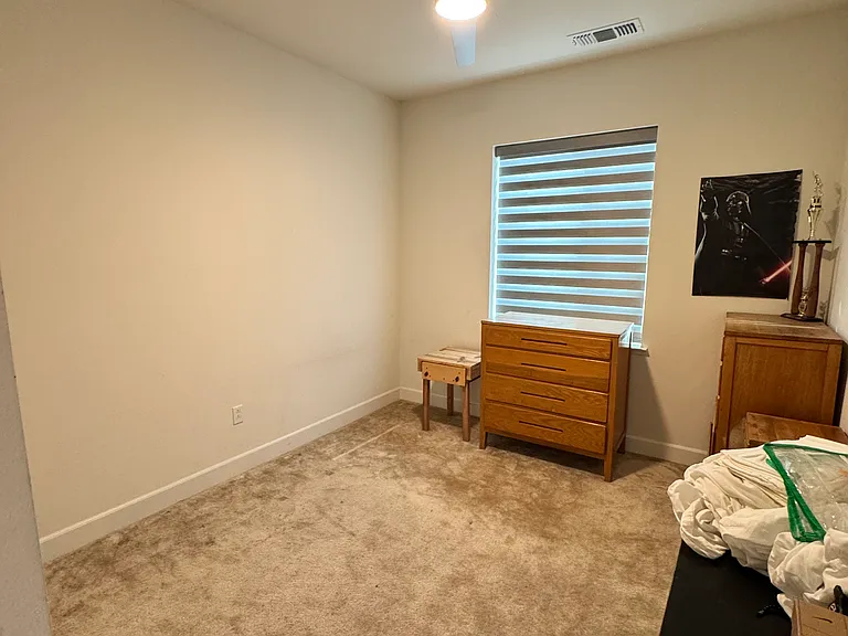 3029 Ellis Town Dr — Photo 9