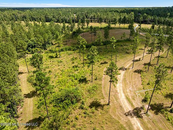 5th image of 48 Clear Pines Dr