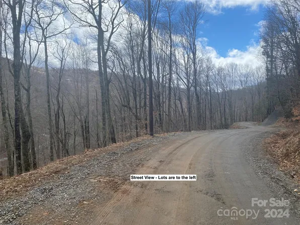 Fox Den Rd, Mars Hill, NC 28754