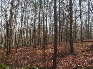 0 Mount Pleasant Church Rd, Cleveland, GA 30528
