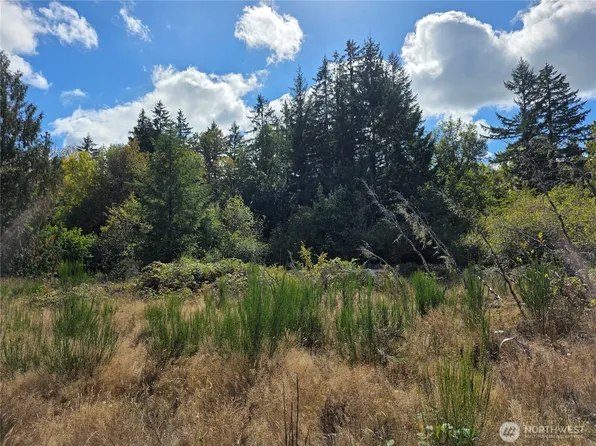 400 Marion Street S, Tenino, WA 98589