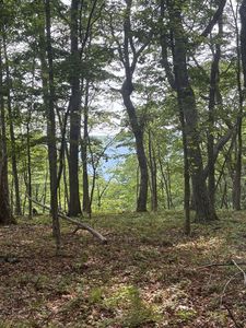 0 Bob Plumley Rd, Shady Spring, WV, 25918