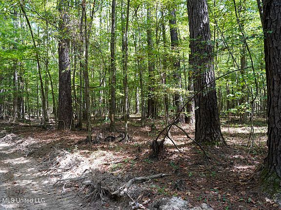 4th image of McIntyre Rd