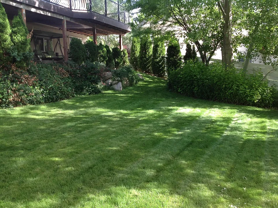 Yard