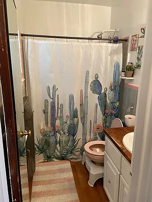 Rented by Amorelli Realty | media 14