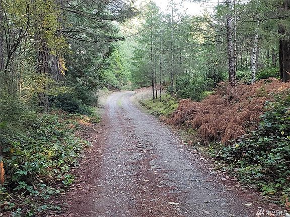 Your driveway winds a short distance through the woods.  Privacy.