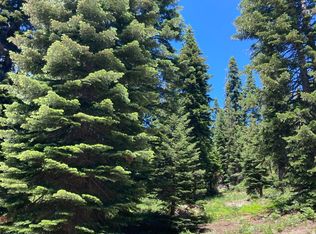 179 Norton Meadows Rd, Bucks Lake, CA 95971