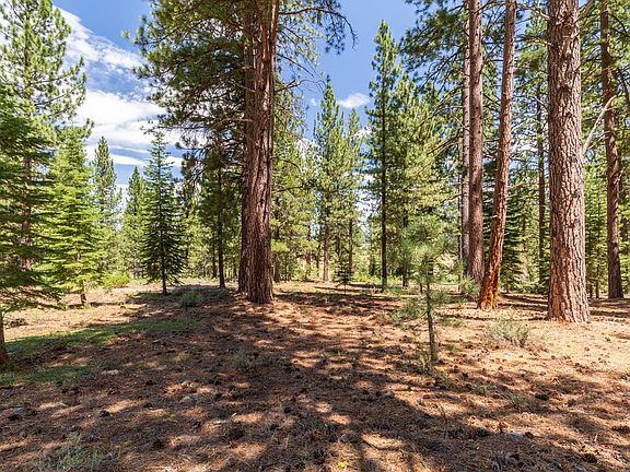 2nd image of 13265 Snowshoe Thompson Cir