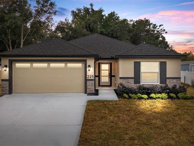 225 Hillside Ave, Umatilla, FL, 32784