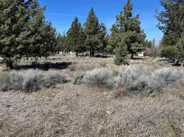 5-3 Hogan Dr Lot 162, Weed, CA 96094