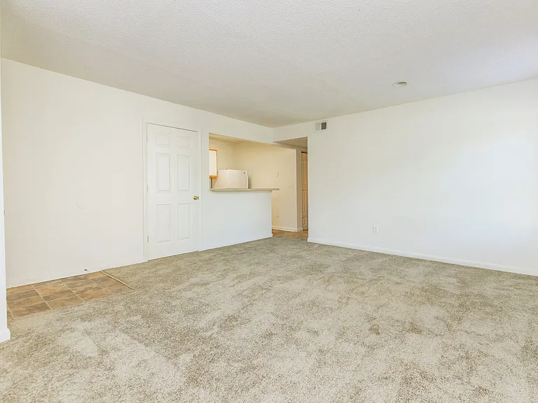 Pinetree — Photo 24