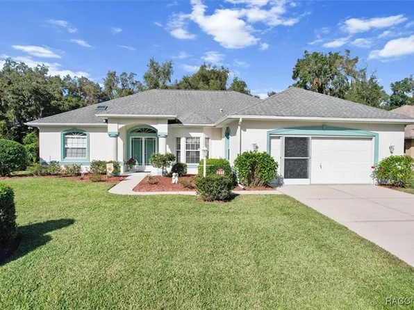 3008 N Chandler Dr, Hernando, FL 34442