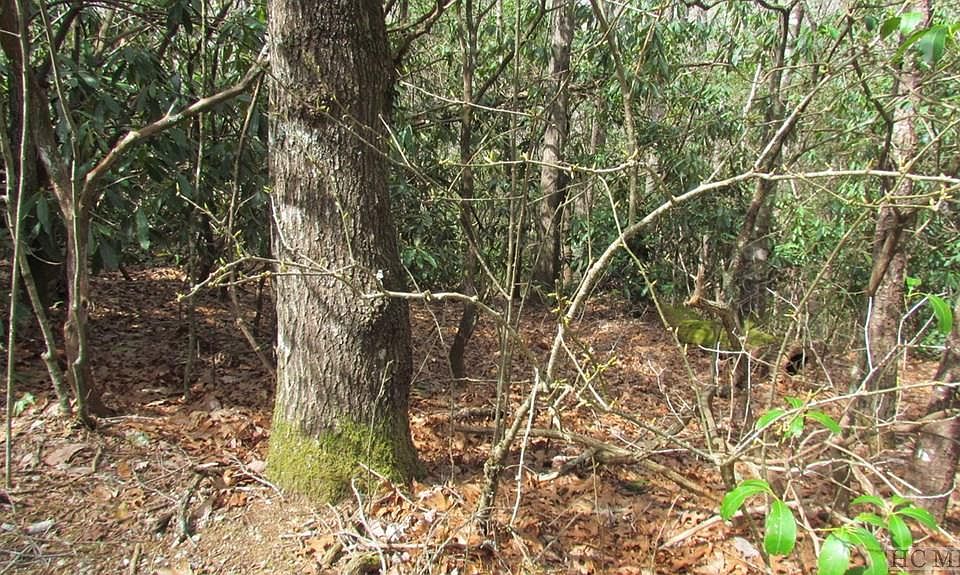 2nd image of 00 Upper Whitewater Road