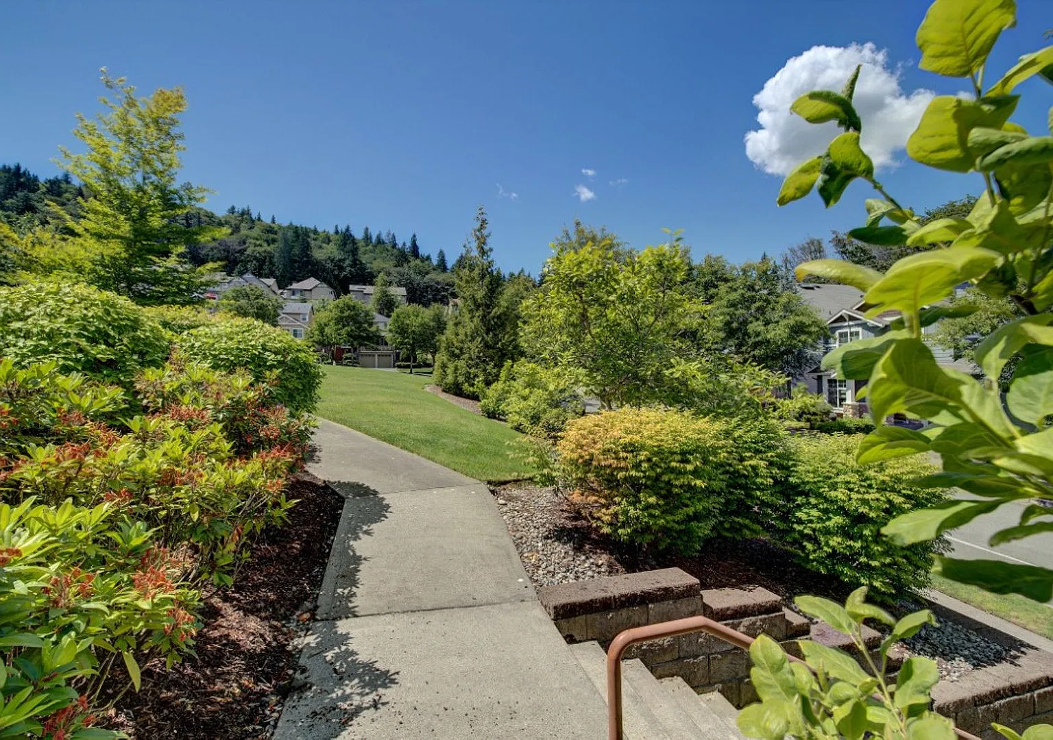 4Bd/2.5Ba Issaquah Home — Photo 4