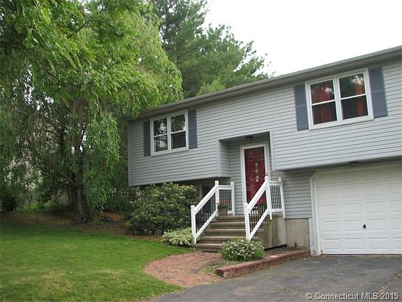 beautiful shade tree