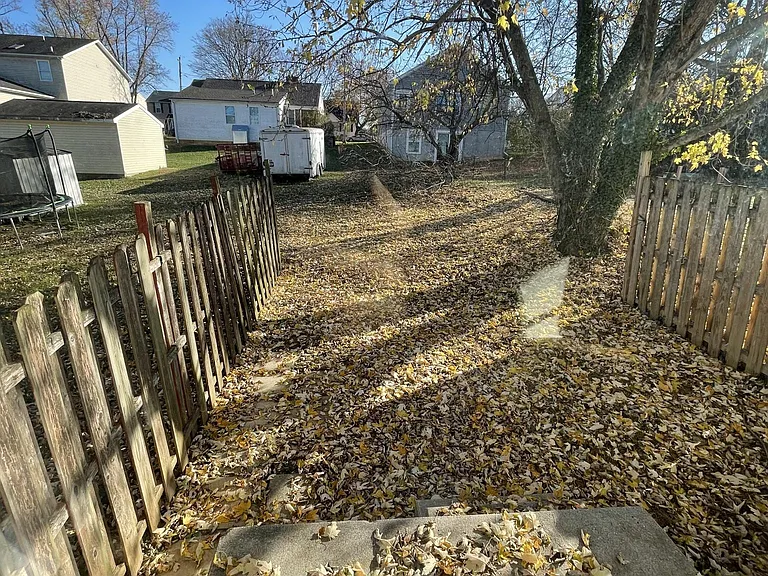 Rear Yard