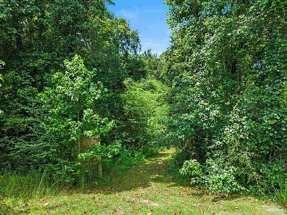4th image of 3470 Bell Fork Rd