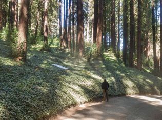 446 Old La Honda Rd, Redwood City, CA 94062