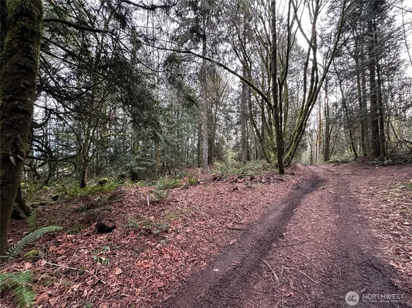 22 Lots Nevada Avenue E, Port Orchard, WA 98366