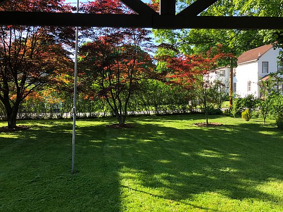 Beautiful red Japanese Maple