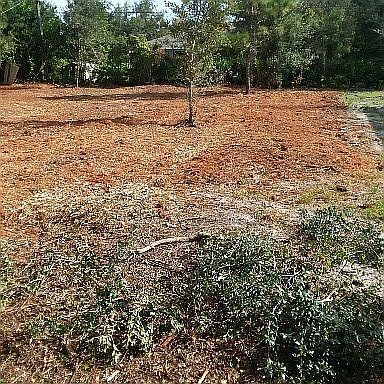 High /dry lot not flood plan