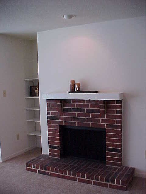 Wood Burning Fireplace