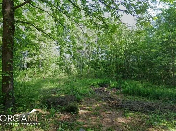 153 Jordon Rd, Hiram, GA 30141