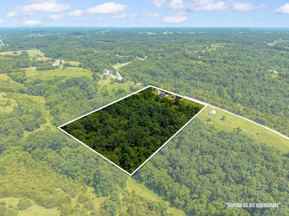 4389 Snake Lick Rd, Berry, KY 41003