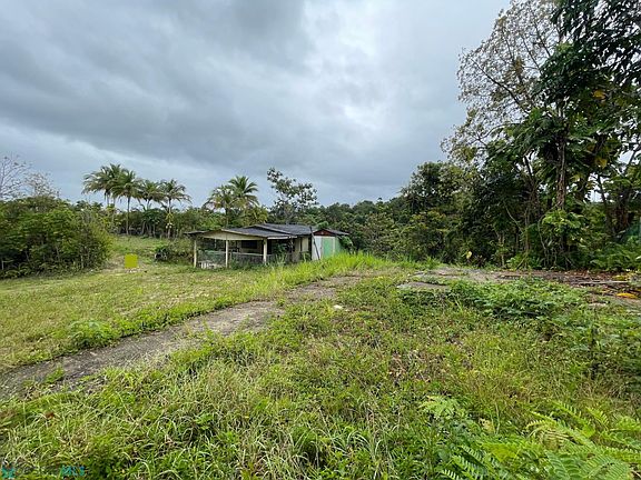 3rd image of B 27 Delonix