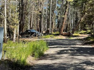 2020 Spruce Rd, Cimarron, CO 81220