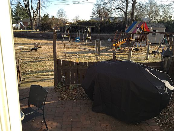 Back yard