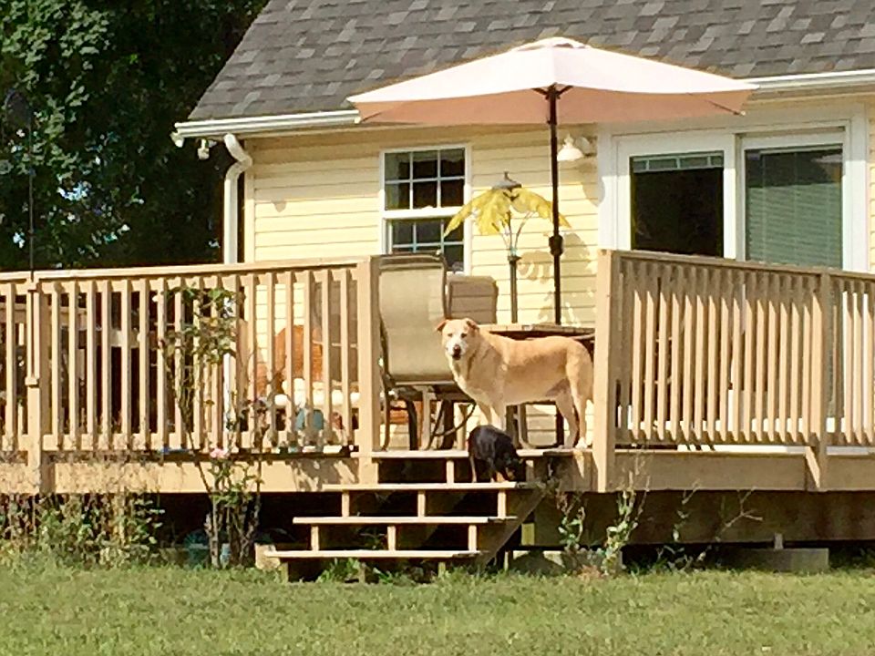 16x20ft Deck