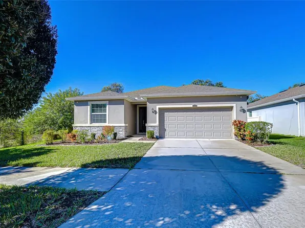 10434 Scenic Hollow Dr, Riverview, FL 33578