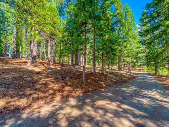 954 Red Fox Rd, Clio, CA 96106
