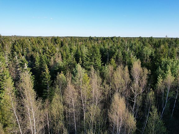 2nd image of Lot 009 Off of Reynolds Brook Road