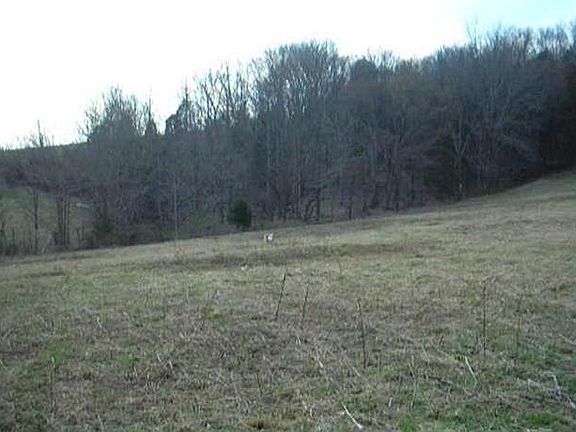 2nd image of 8 Skillet Cr Rd Lot 8