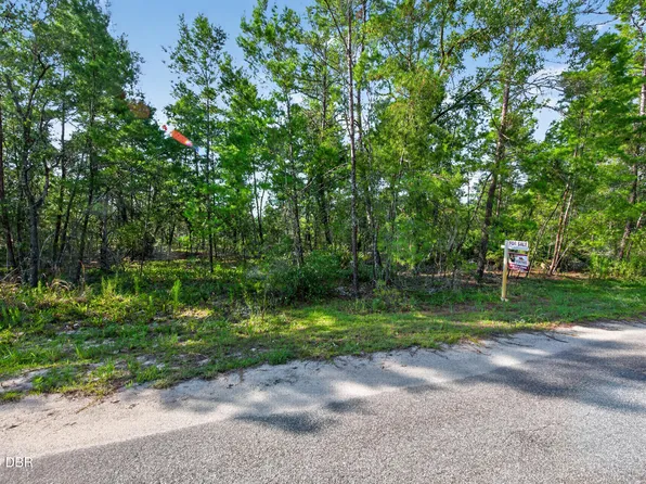 3 Guava Place Pass, Ocklawaha, FL 32179