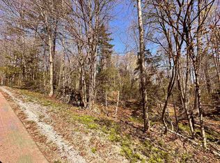 47 & 48 Okemo Way, Mount Holly, VT 05758
